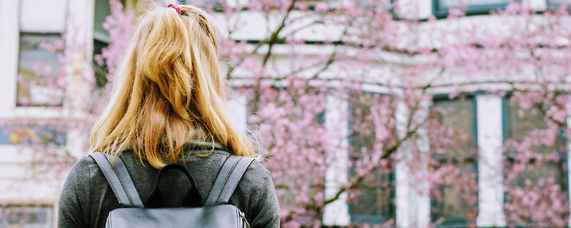 Cursos de idiomas para Erasmus (Foto: Tim Gouw, Pexels)