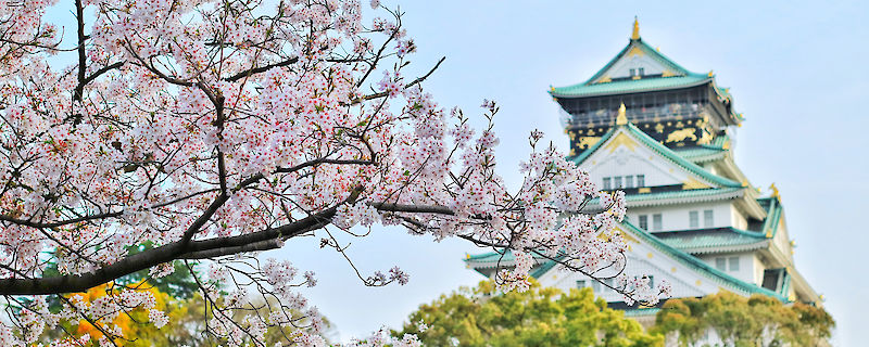 Cursos de japonés en Madrid